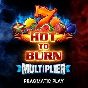 Hot to Burn Multiplier screenshot