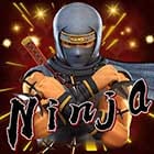 Ninja screenshot