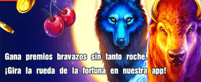 Bonos exclusivos para nuevos